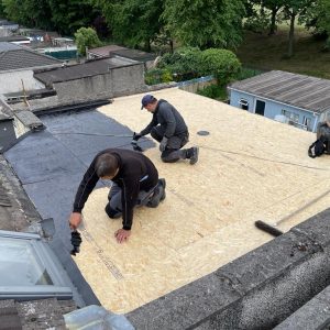 Roof Repairs Brownstown